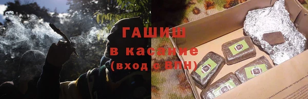 PSILOCYBIN Алзамай
