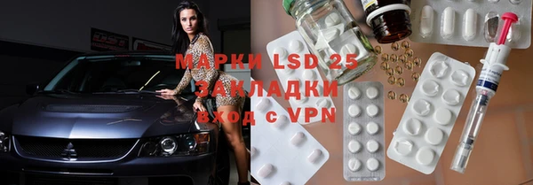 PSILOCYBIN Алзамай