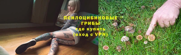 мескалин Алексеевка