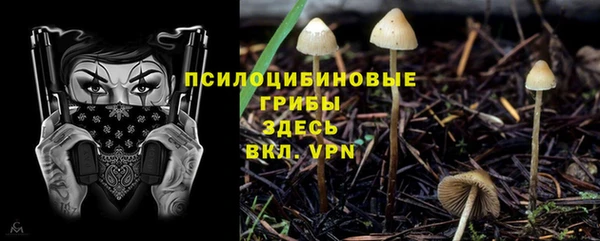 каннабис Алексин